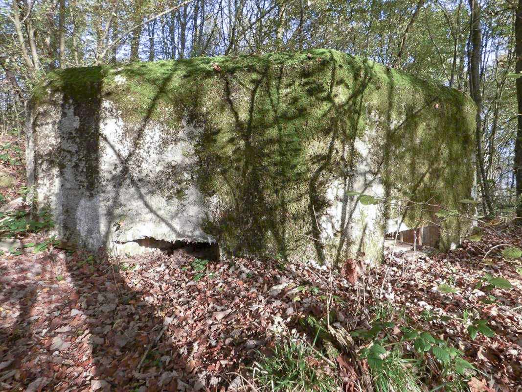 Ligne Maginot - BB29-B - LE CHARNOIS - (Blockhaus pour arme infanterie) -  - JMBrams