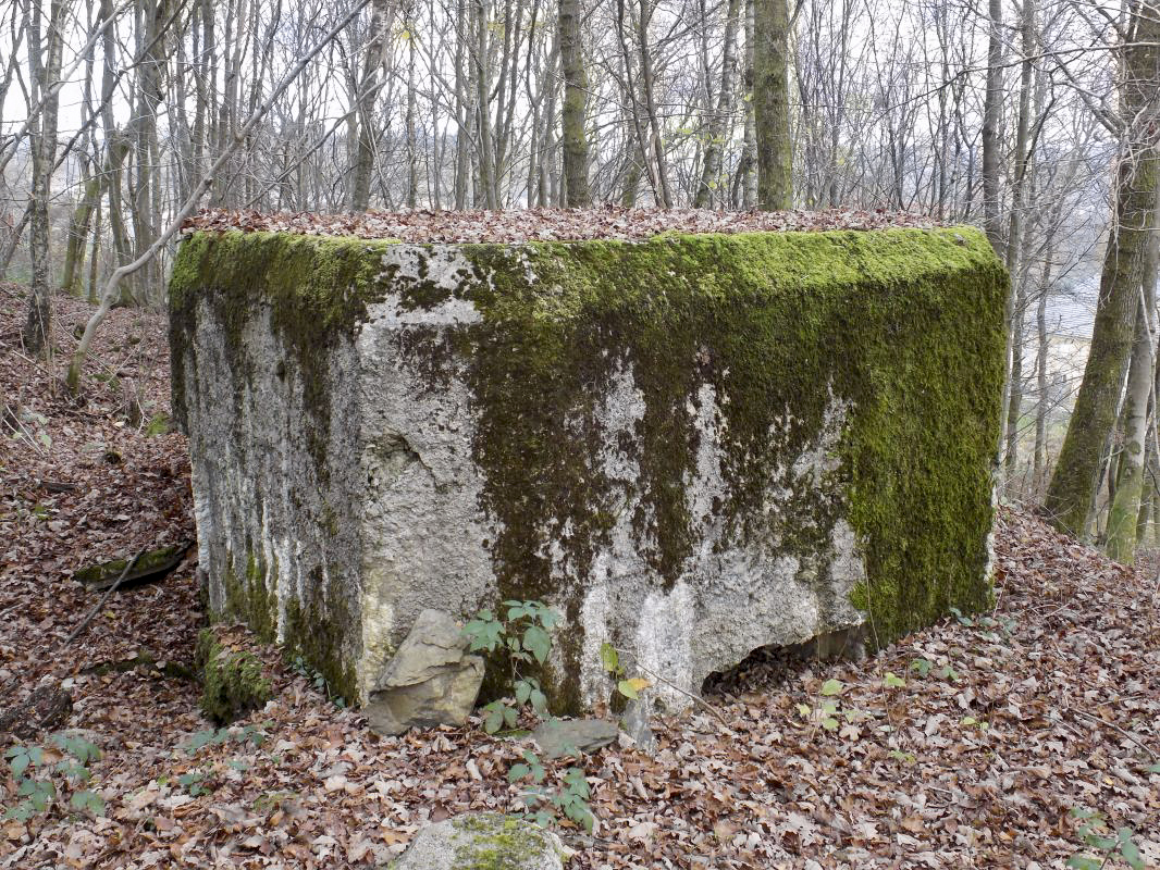 Ligne Maginot - BB29-B - LE CHARNOIS - (Blockhaus pour arme infanterie) -  - R Tucker