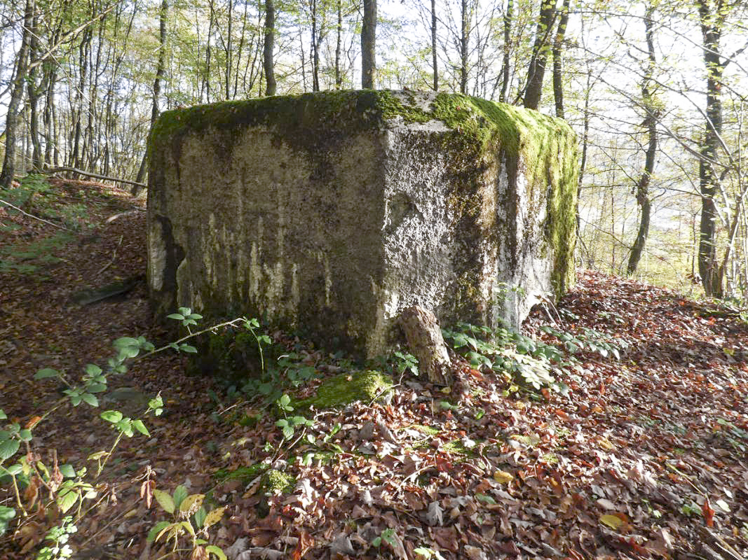 Ligne Maginot - BB29-B - LE CHARNOIS - (Blockhaus pour arme infanterie) -  - JMBrams