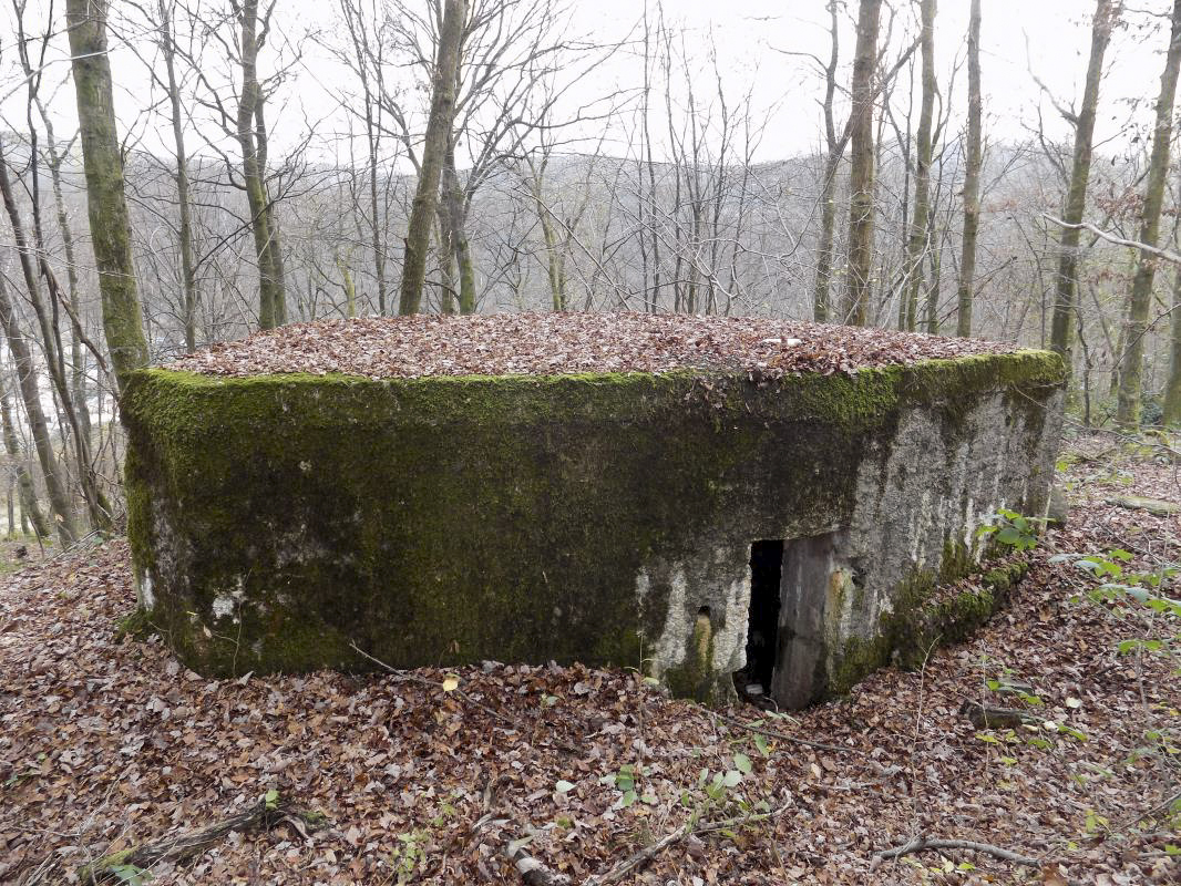 Ligne Maginot - BB29-B - LE CHARNOIS - (Blockhaus pour arme infanterie) - L'entrée - R Tucker