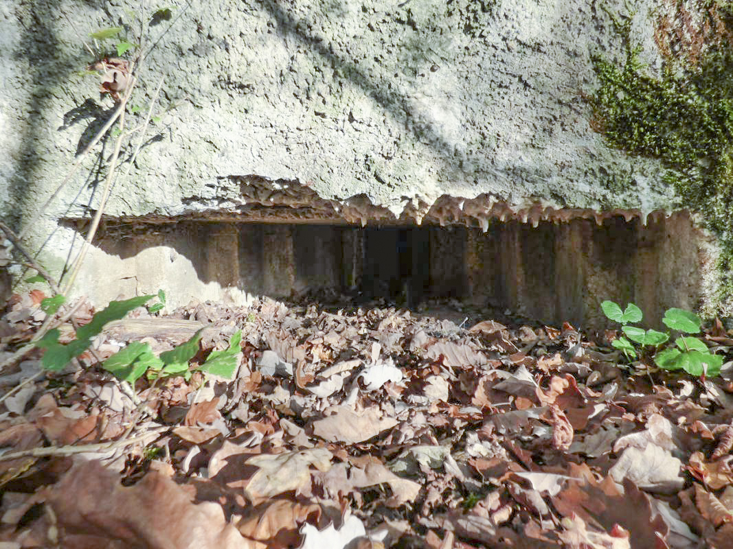 Ligne Maginot - BB29-B - LE CHARNOIS - (Blockhaus pour arme infanterie) -  - JMBrams