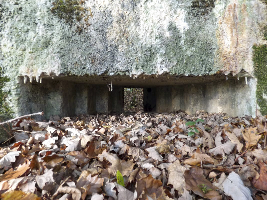 Ligne Maginot - BB29-B - LE CHARNOIS - (Blockhaus pour arme infanterie) -  - JMBrams