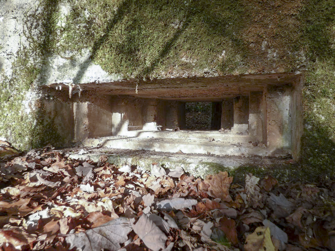 Ligne Maginot - BB29-B - LE CHARNOIS - (Blockhaus pour arme infanterie) -  - JMBrams