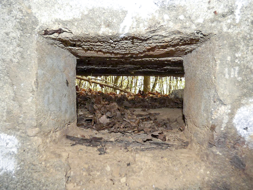 Ligne Maginot - BB29-B - LE CHARNOIS - (Blockhaus pour arme infanterie) -  - JMBrams