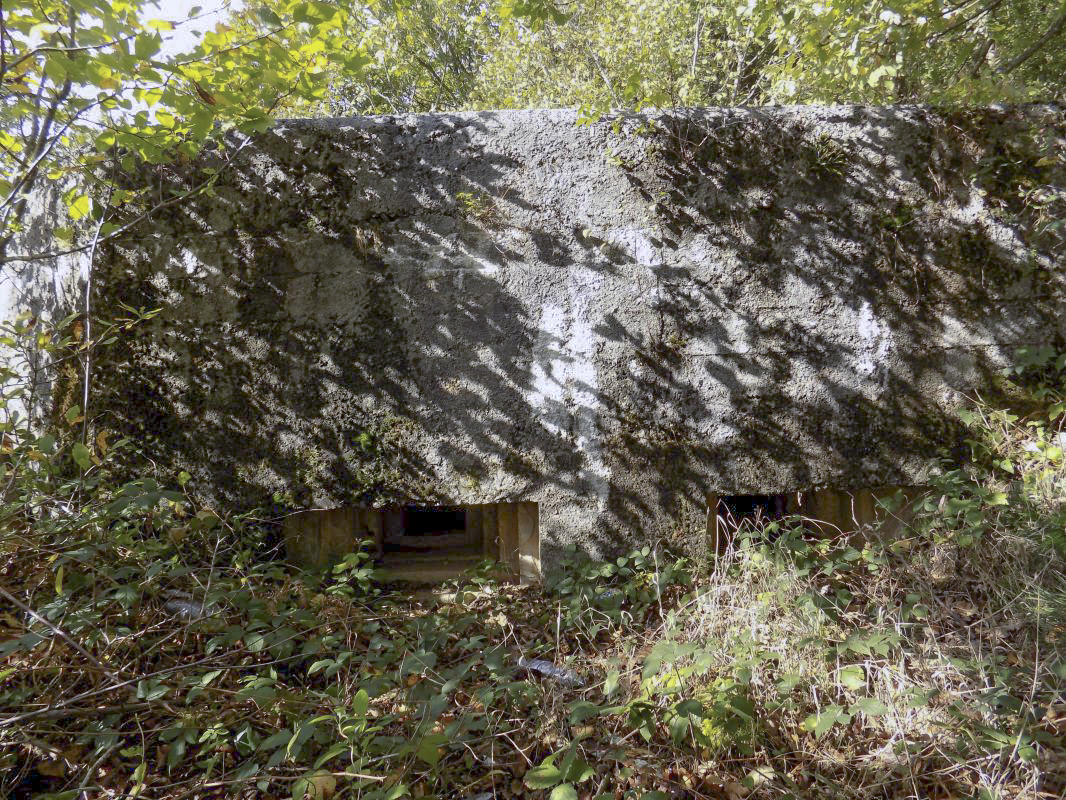 Ligne Maginot - BB29-C - SNCF - (Blockhaus pour arme infanterie) - Face frontale - R Tucker
