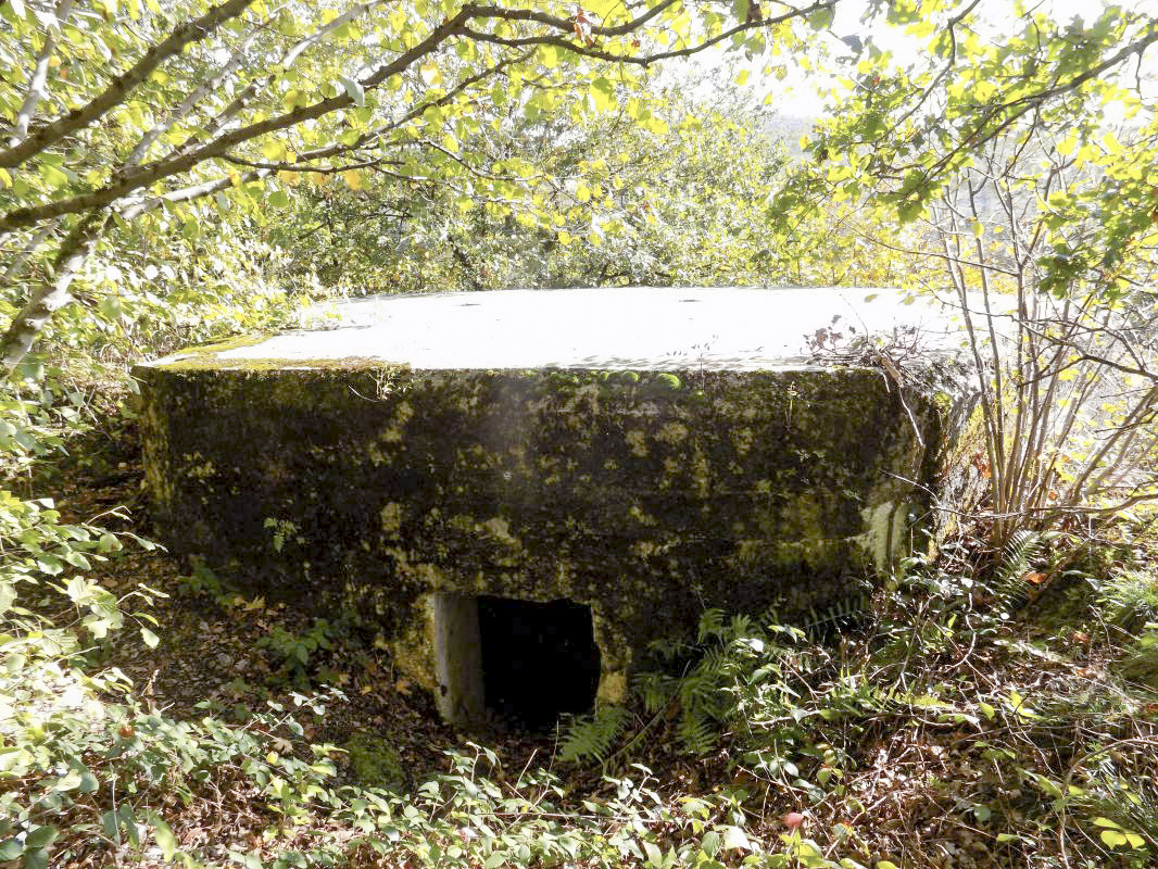 Ligne Maginot - BB29-C - SNCF - (Blockhaus pour arme infanterie) - L'arrière, l'entrée - R Tucker