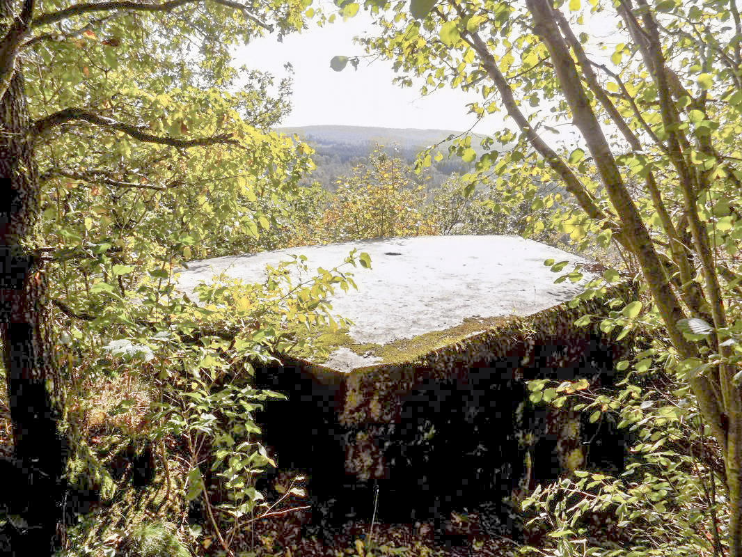 Ligne Maginot - BB29-C - SNCF - (Blockhaus pour arme infanterie) - Vue vers le sud-est - R Tucker