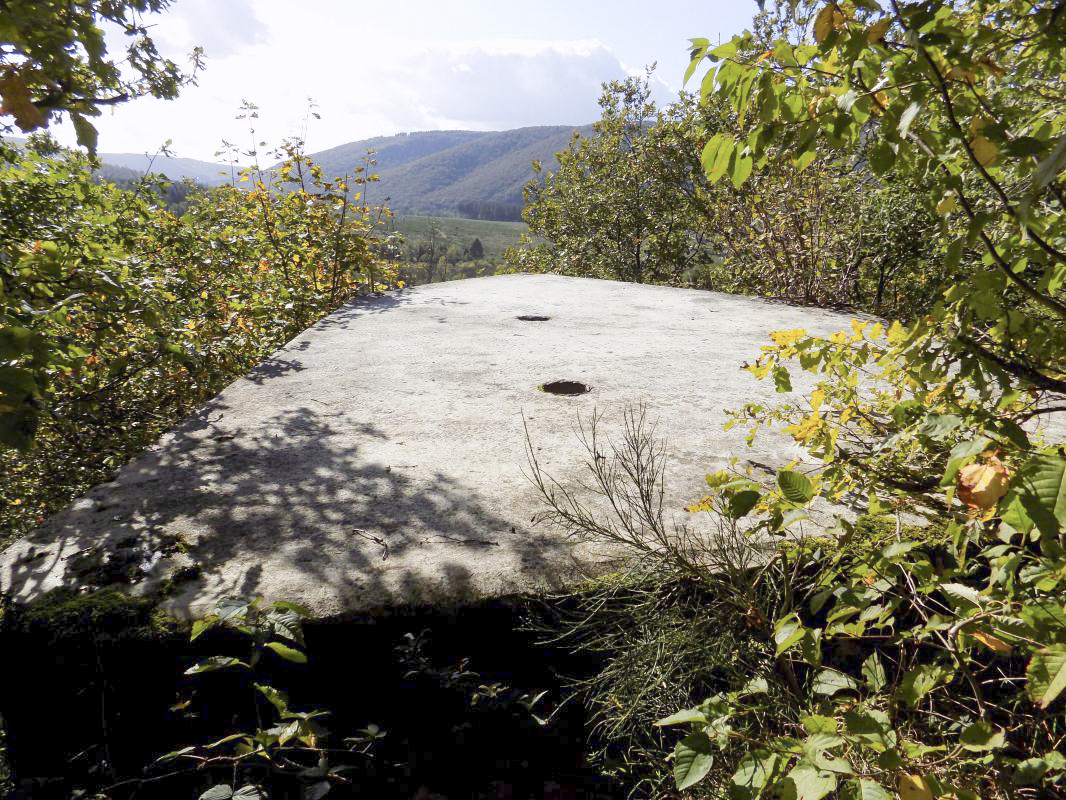 Ligne Maginot - BB29-C - SNCF - (Blockhaus pour arme infanterie) - Vue vers le sud-ouest - R Tucker