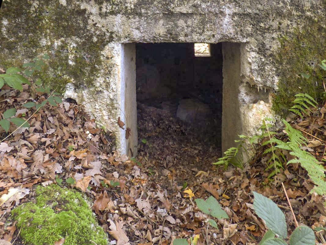 Ligne Maginot - BB29-C - SNCF - (Blockhaus pour arme infanterie) -  - JMBrams