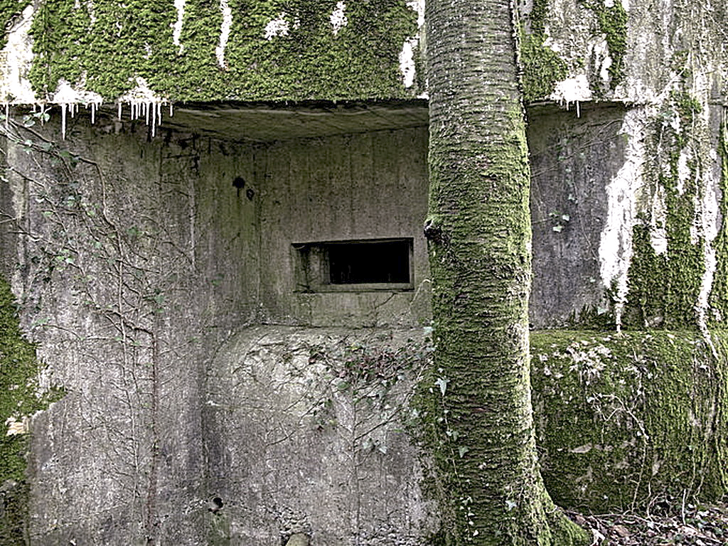 Ligne Maginot - CEZF-12  - BRIQUETERIE EST - (Casemate d'infanterie - Simple) -  - Sylvie Laure LAMBERT
