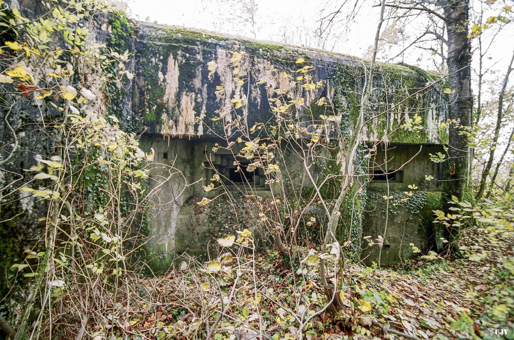 Ligne Maginot - CEZF-11 - BRIQUETERIE OUEST - (Casemate d'infanterie) -  - Caspar Vermeulen
