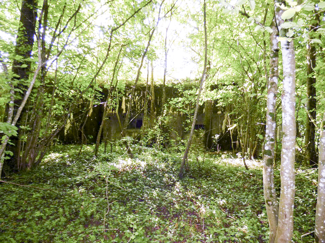 Ligne Maginot - CEZF-11 - BRIQUETERIE OUEST - (Casemate d'infanterie) -  - JMBrams