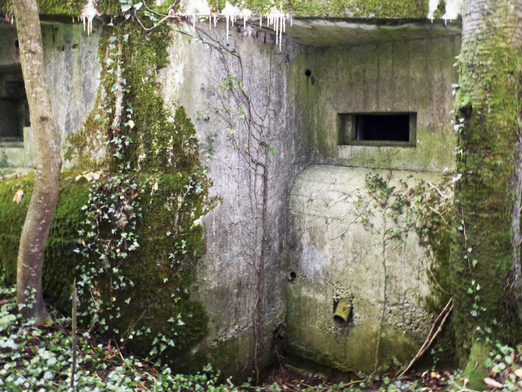 Ligne Maginot - CEZF-11 - BRIQUETERIE OUEST - (Casemate d'infanterie) -  - JMBrams