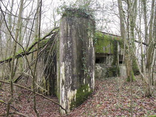 Ligne Maginot - CEZF-10BIS - BOIS DE BELLE-CORRE - (Casemate d'infanterie - Simple) -  - AALMA - www.lignemaginot.com