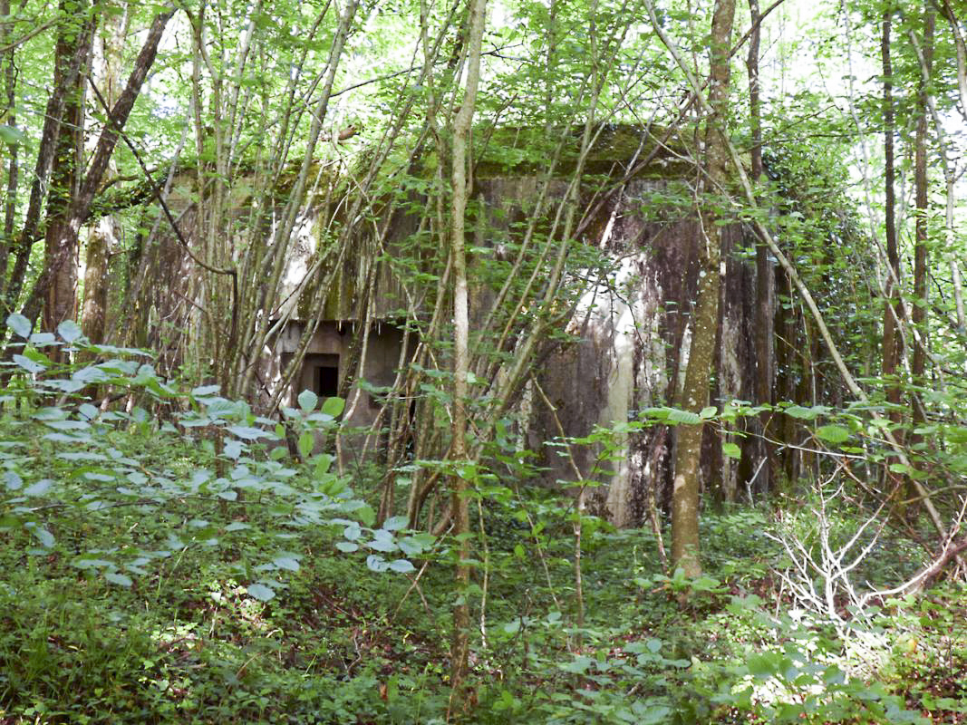 Ligne Maginot - CEZF-10BIS - BOIS DE BELLE-CORRE - (Casemate d'infanterie - Simple) -  - JMBrams