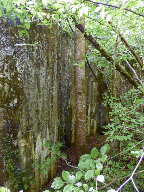 Ligne Maginot - CEZF-10BIS - BOIS DE BELLE-CORRE - (Casemate d'infanterie - Simple) -  - JMBrams