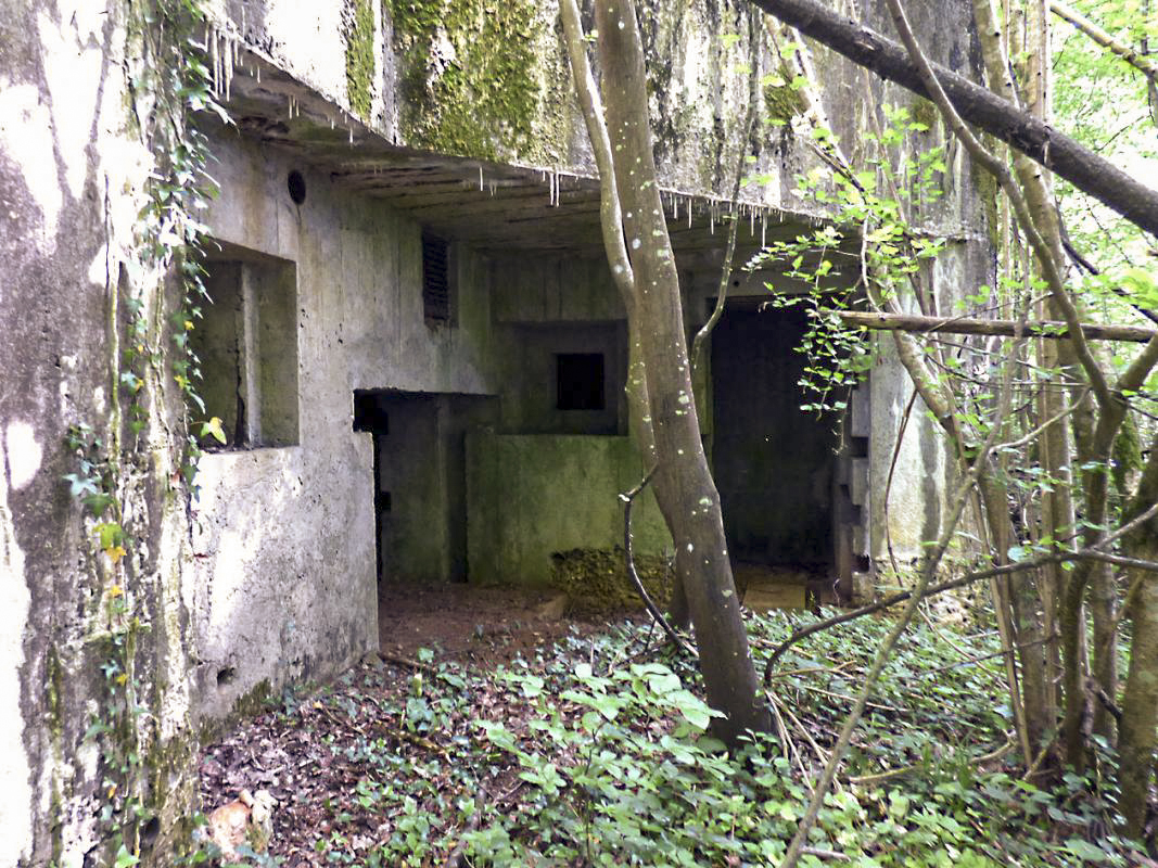 Ligne Maginot - CEZF-10BIS - BOIS DE BELLE-CORRE - (Casemate d'infanterie - Simple) -  - JMBrams