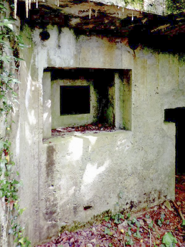 Ligne Maginot - CEZF-10BIS - BOIS DE BELLE-CORRE - (Casemate d'infanterie - Simple) -  - JMBrams