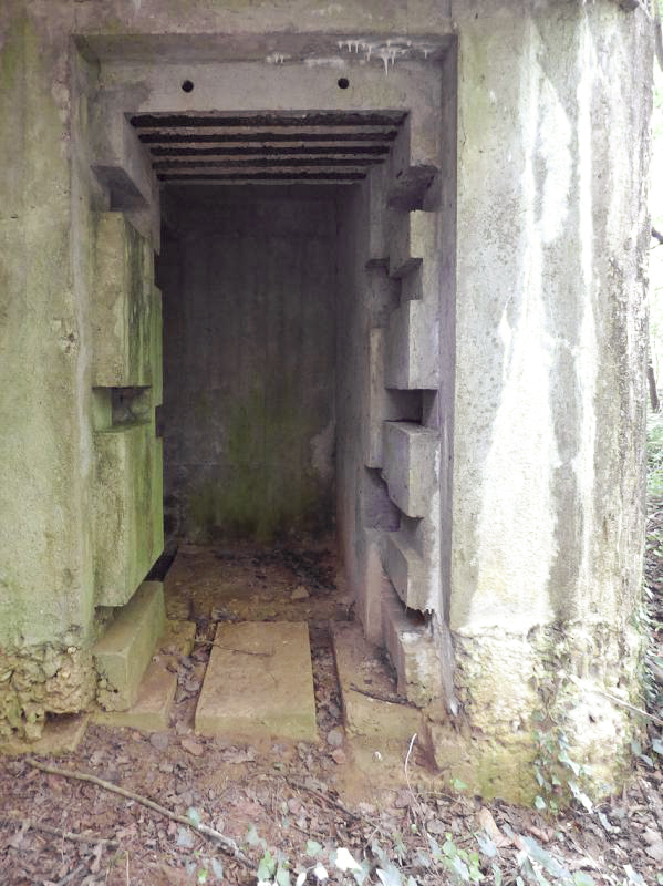 Ligne Maginot - CEZF-10BIS - BOIS DE BELLE-CORRE - (Casemate d'infanterie - Simple) -  - JMBrams