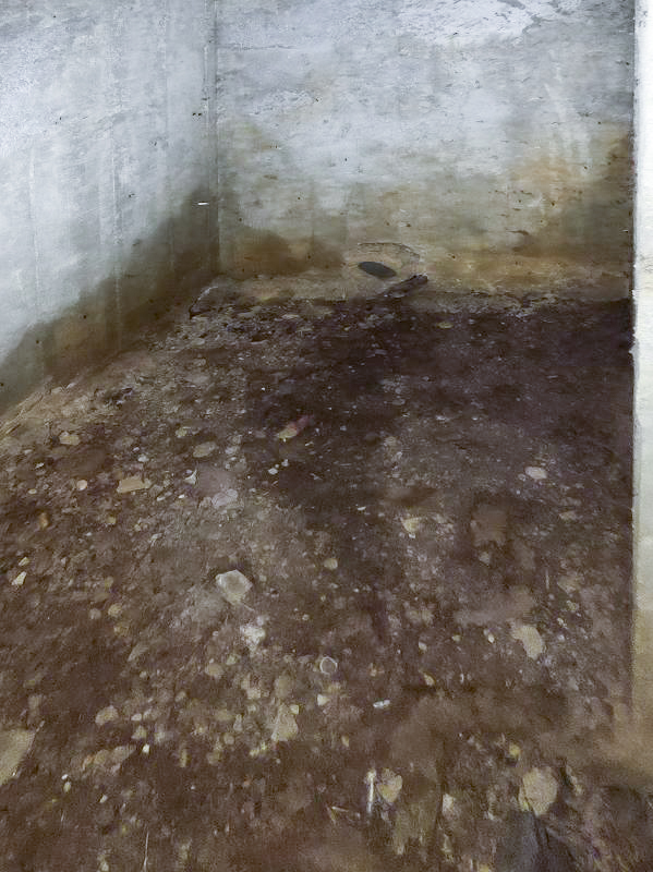 Ligne Maginot - CEZF-10BIS - BOIS DE BELLE-CORRE - (Casemate d'infanterie - Simple) -  - JMBrams