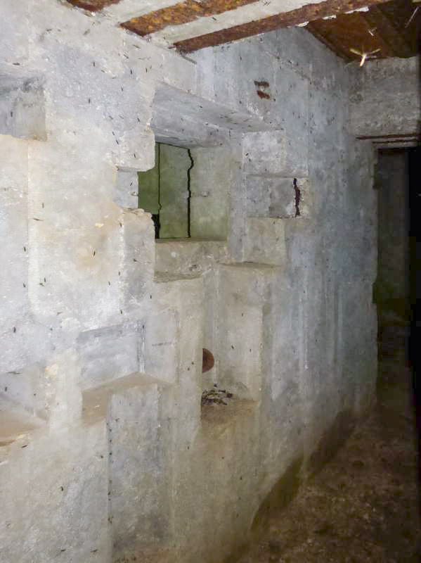 Ligne Maginot - CEZF-10BIS - BOIS DE BELLE-CORRE - (Casemate d'infanterie - Simple) -  - JMBrams
