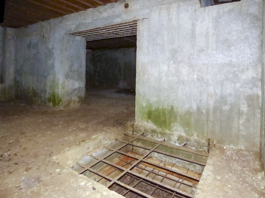 Ligne Maginot - CEZF-10BIS - BOIS DE BELLE-CORRE - (Casemate d'infanterie - Simple) -  - JMBrams