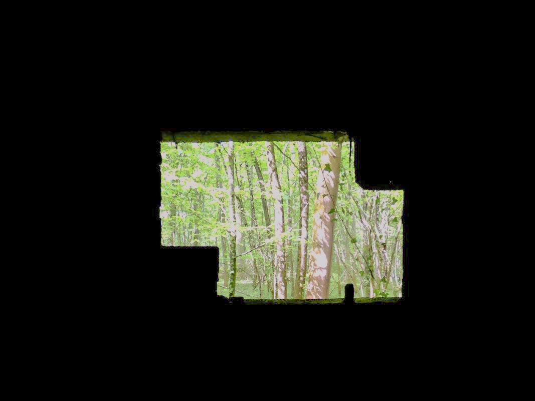 Ligne Maginot - CEZF-10BIS - BOIS DE BELLE-CORRE - (Casemate d'infanterie - Simple) -  - JMBrams