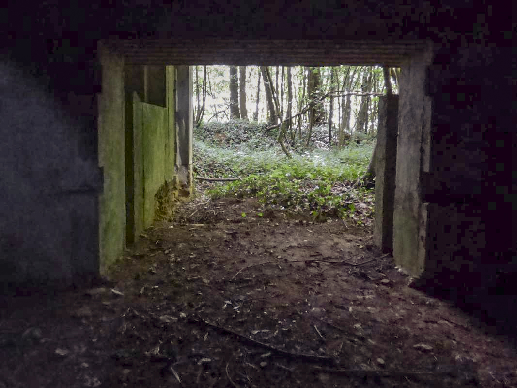 Ligne Maginot - CEZF-10BIS - BOIS DE BELLE-CORRE - (Casemate d'infanterie - Simple) -  - JMBrams