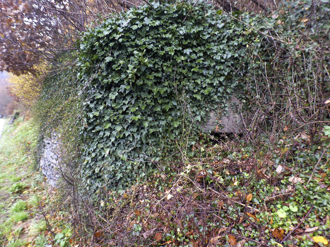 Ligne Maginot - Blockhaus Bb30-A - BELLE FLEUR -  - JMBrams