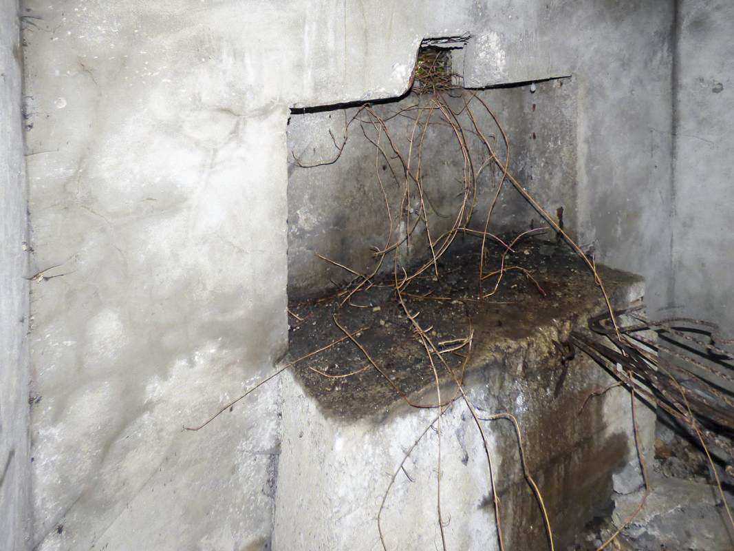 Ligne Maginot - Blockhaus Bb30-A - BELLE FLEUR -  - JMBrams