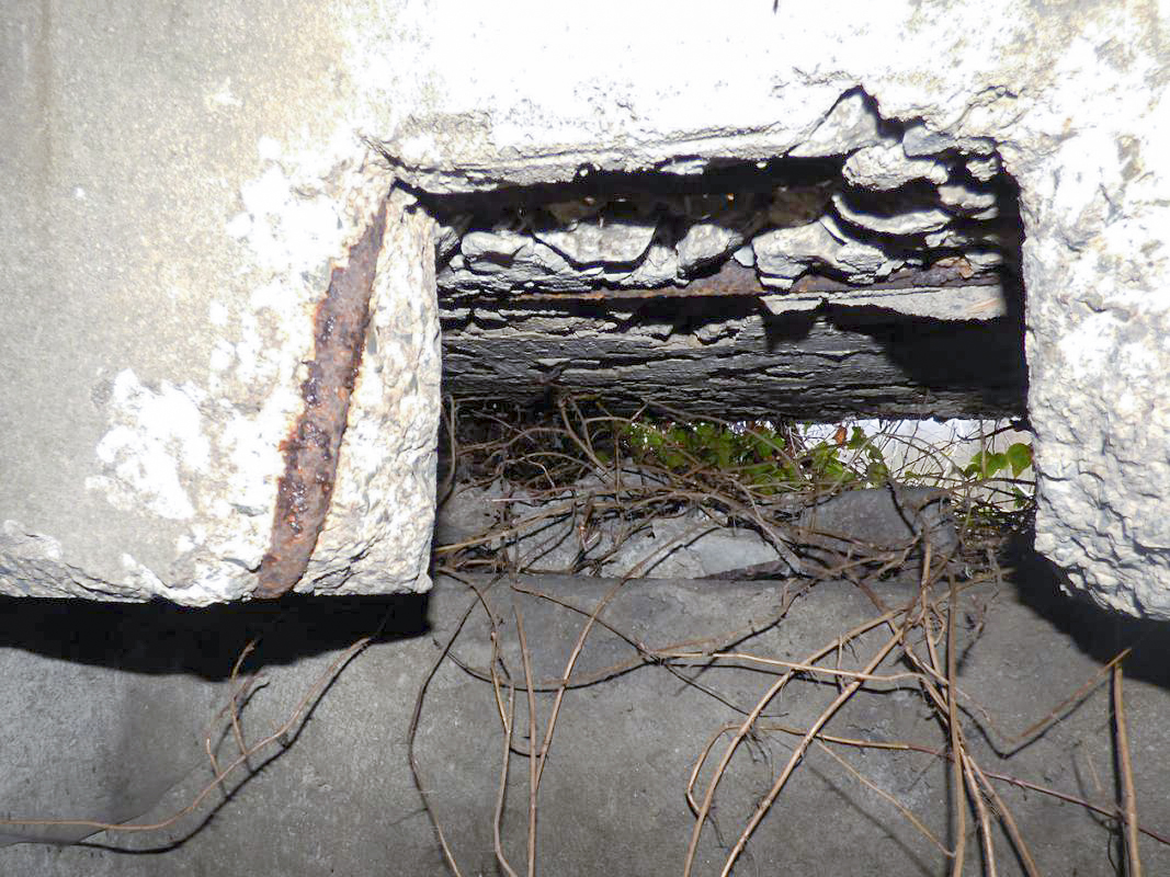 Ligne Maginot - Blockhaus Bb30-A - BELLE FLEUR -  - JMBrams