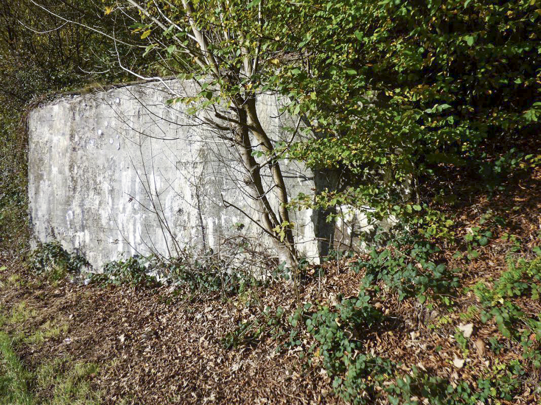 Ligne Maginot - BB31-A - ANCIENNES ARDOISIERES - (Blockhaus pour canon) -  - JMBrams