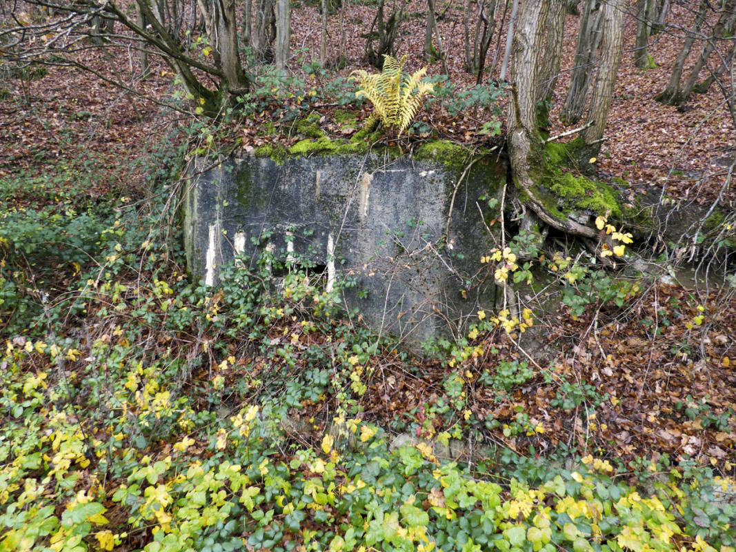 Ligne Maginot - BB31-B - BELLE FLEUR - (Blockhaus pour canon) -  - JMBrams