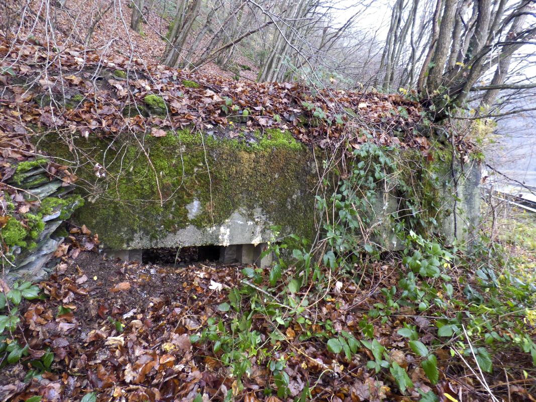 Ligne Maginot - BB31-B - BELLE FLEUR - (Blockhaus pour canon) -  - JMBrams