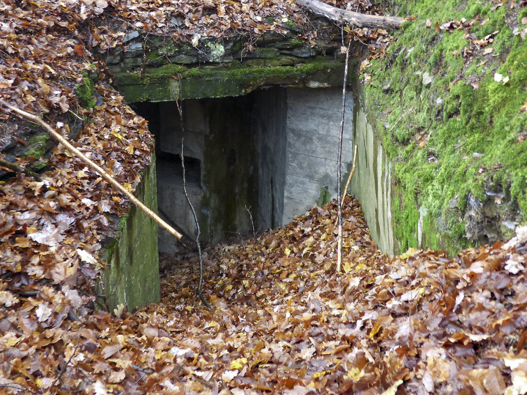 Ligne Maginot - BB31-B - BELLE FLEUR - (Blockhaus pour canon) -  - JMBrams