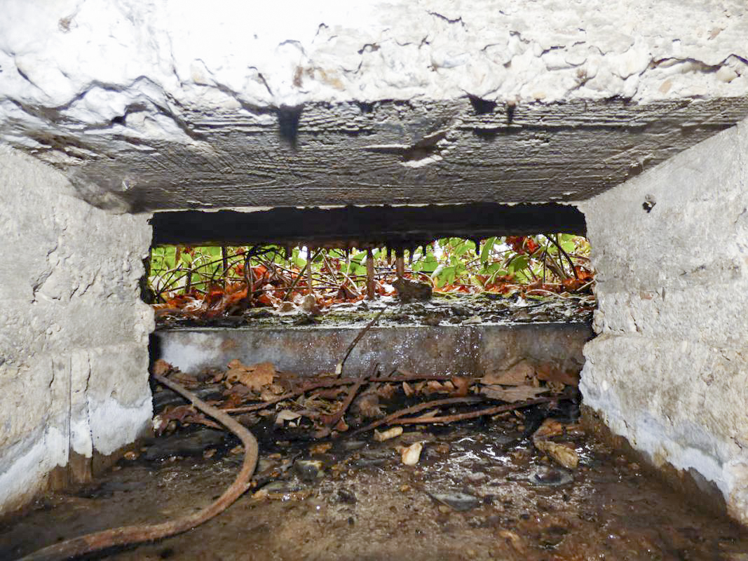 Ligne Maginot - BB31-B - BELLE FLEUR - (Blockhaus pour canon) -  - JMBrams