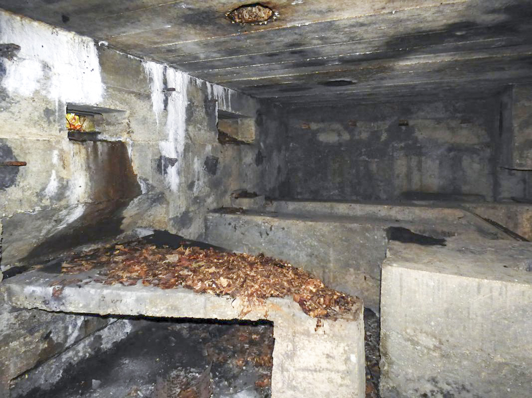Ligne Maginot - BB31-B - BELLE FLEUR - (Blockhaus pour canon) -  - JMBrams