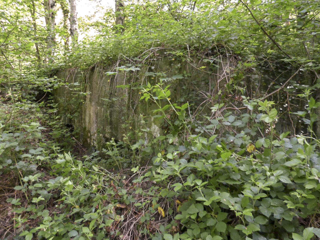 Ligne Maginot - BB35 - MOULIN DE REVIN - (Blockhaus pour arme infanterie) -  - JMBrams