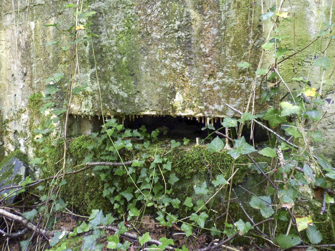 Ligne Maginot - BB35 - MOULIN DE REVIN - (Blockhaus pour arme infanterie) -  - JMBrams