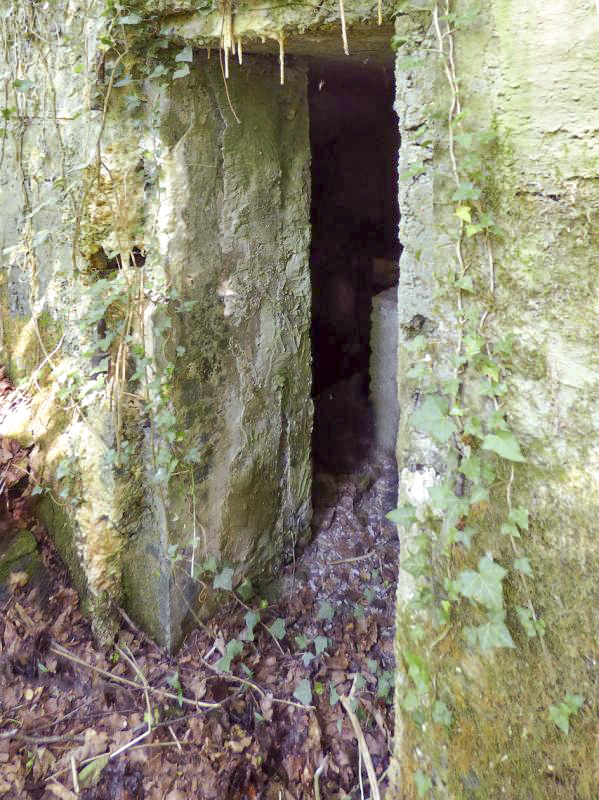 Ligne Maginot - BB35 - MOULIN DE REVIN - (Blockhaus pour arme infanterie) -  - JMBrams