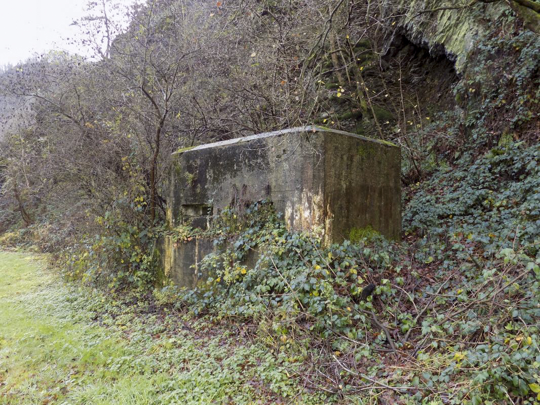 Ligne Maginot - BB38-A - LES ECUMONTS - (Blockhaus pour arme infanterie) -  - R Tucker