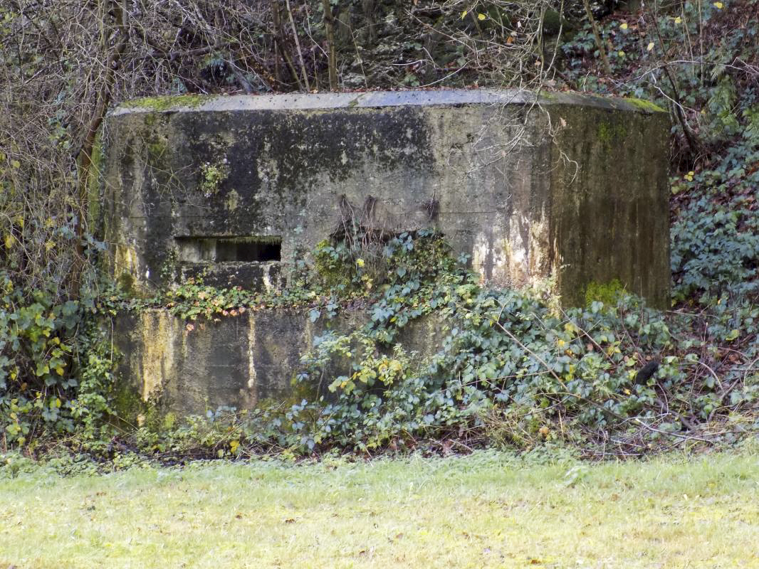 Ligne Maginot - BB38-A - LES ECUMONTS - (Blockhaus pour arme infanterie) -  - R Tucker