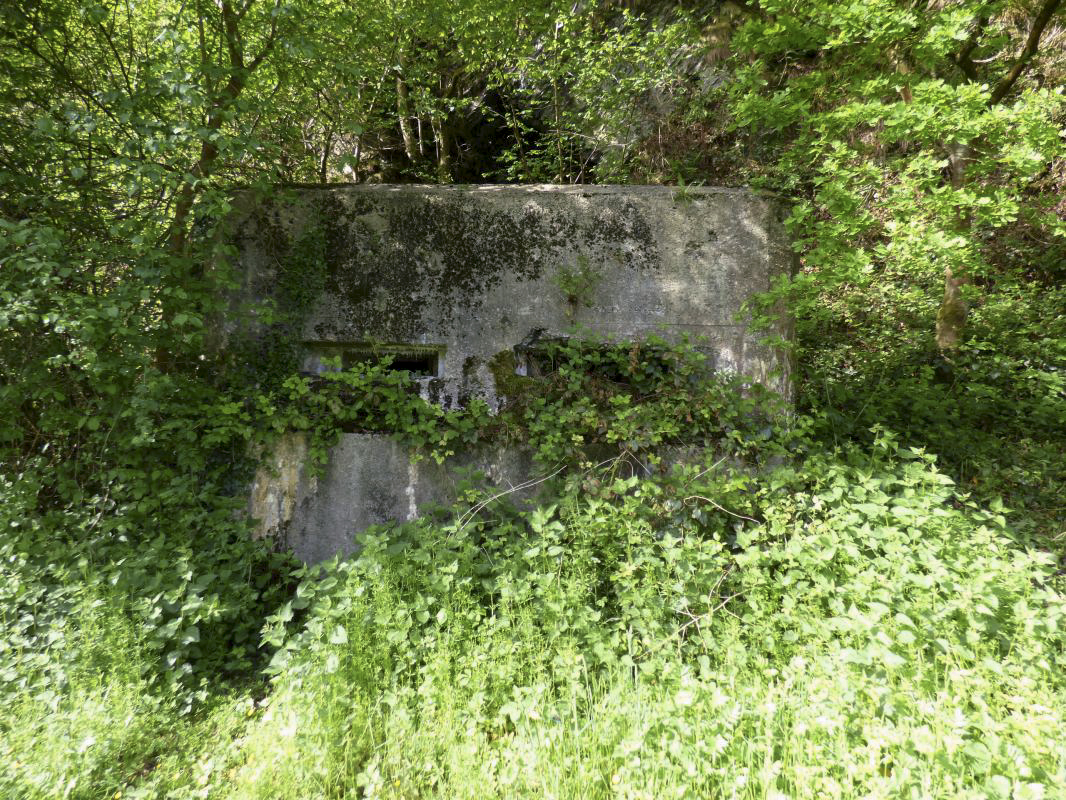 Ligne Maginot - BB38-A - LES ECUMONTS - (Blockhaus pour arme infanterie) -  - JMBrams