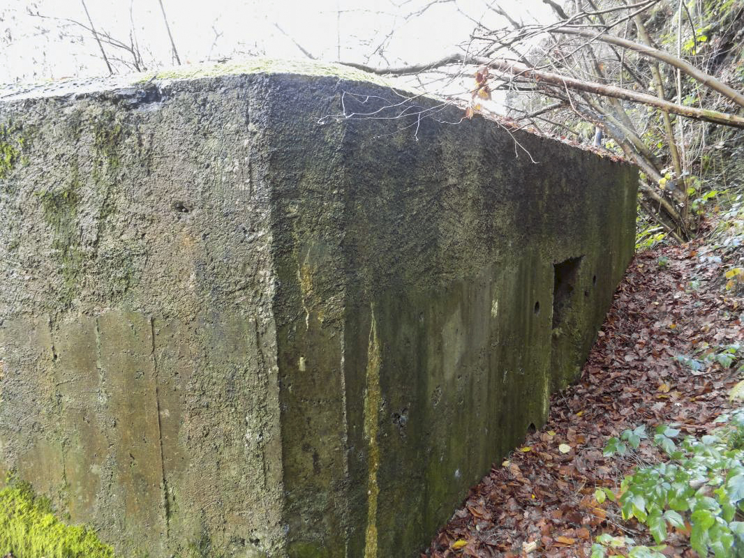 Ligne Maginot - BB38-A - LES ECUMONTS - (Blockhaus pour arme infanterie) -  - R Tucker