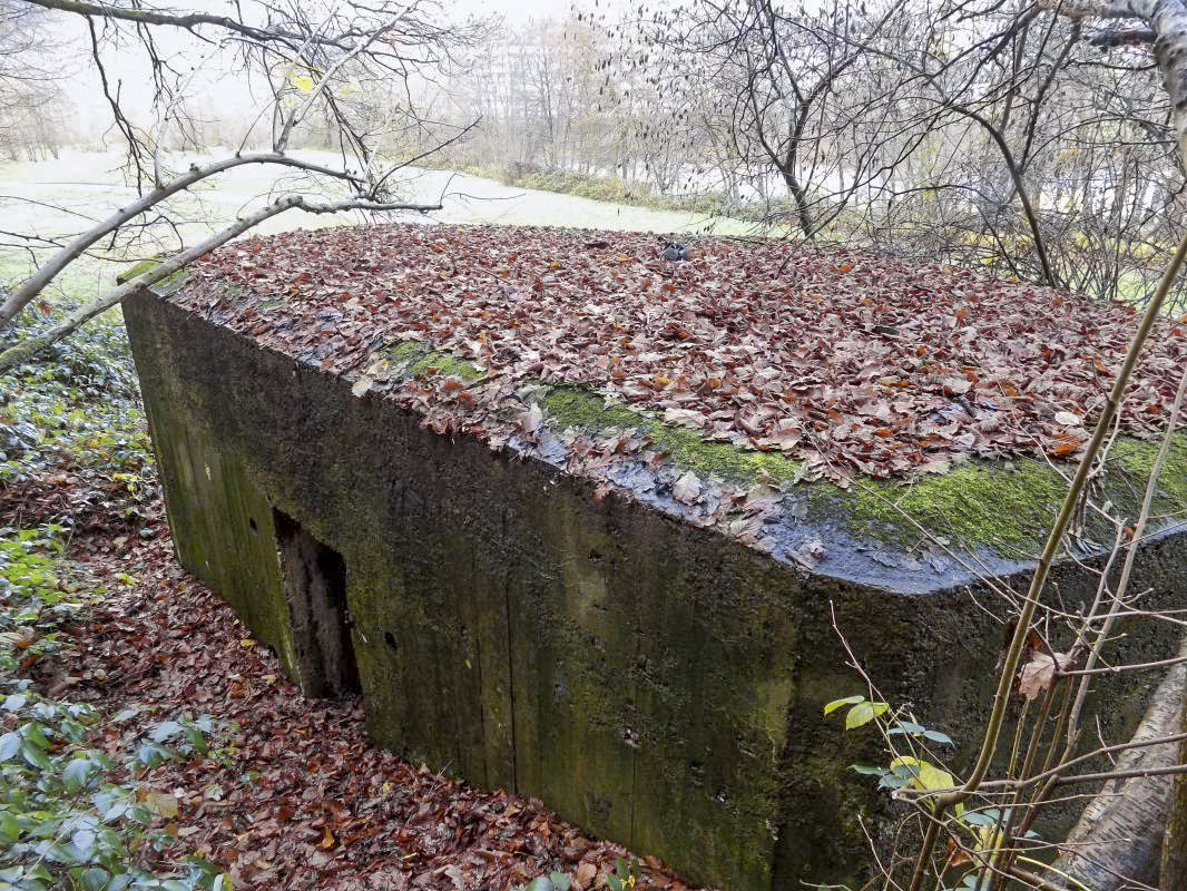 Ligne Maginot - BB38-A - LES ECUMONTS - (Blockhaus pour arme infanterie) -  - R Tucker