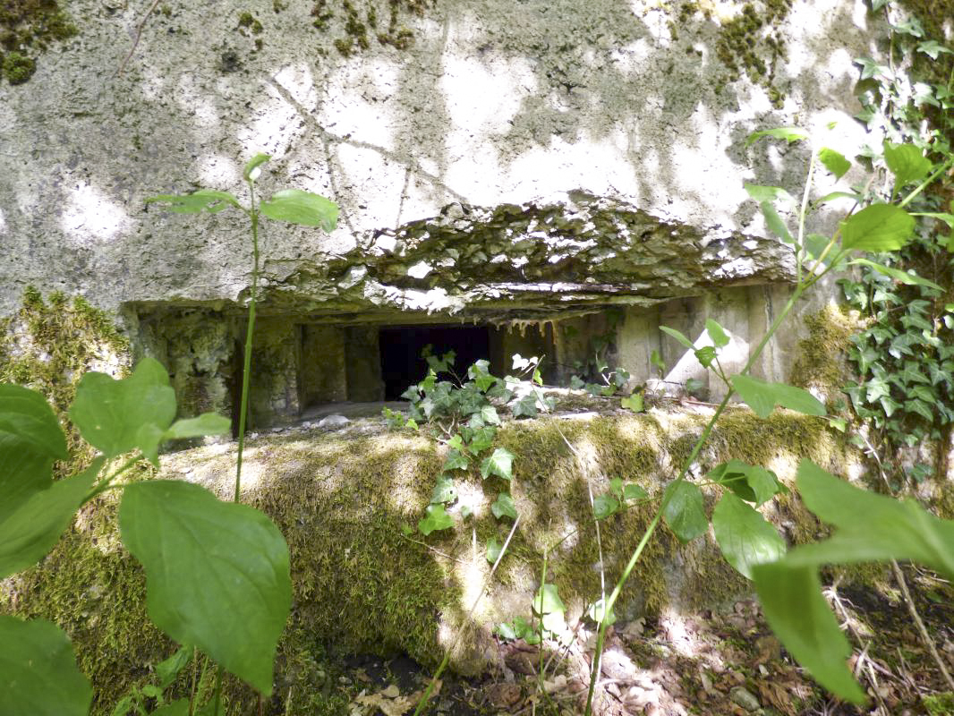 Ligne Maginot - BB38-A - LES ECUMONTS - (Blockhaus pour arme infanterie) -  - JMBrams