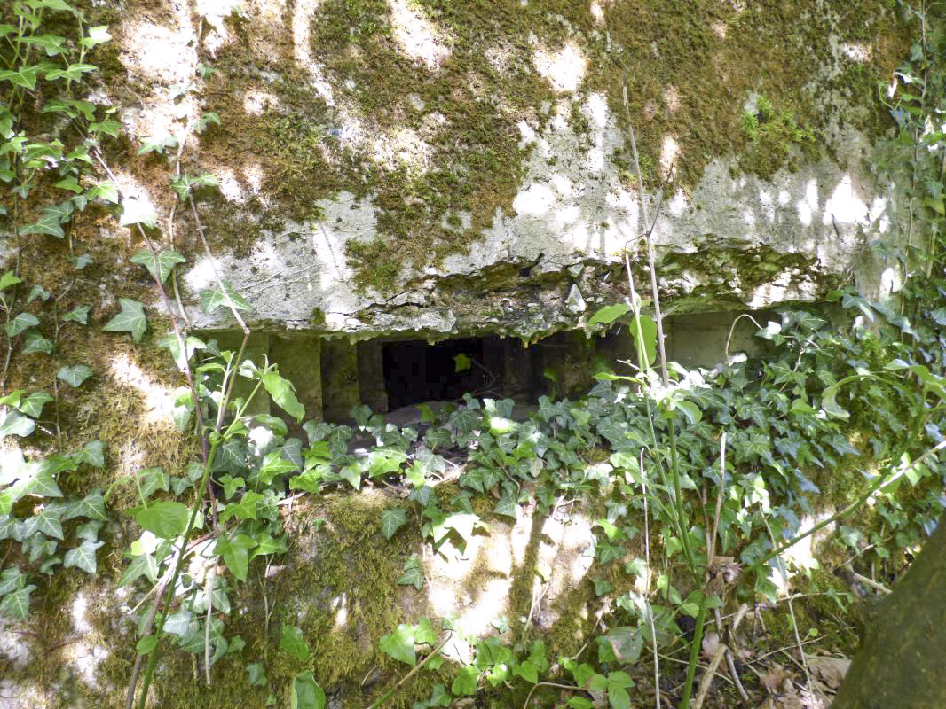 Ligne Maginot - BB38-A - LES ECUMONTS - (Blockhaus pour arme infanterie) -  - JMBrams