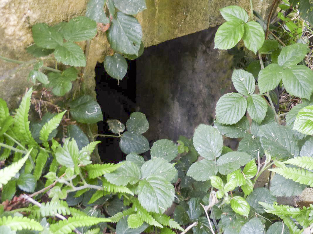 Ligne Maginot - Blockhaus Bb39-B - La BOUVERIE Est -  - JMBrams