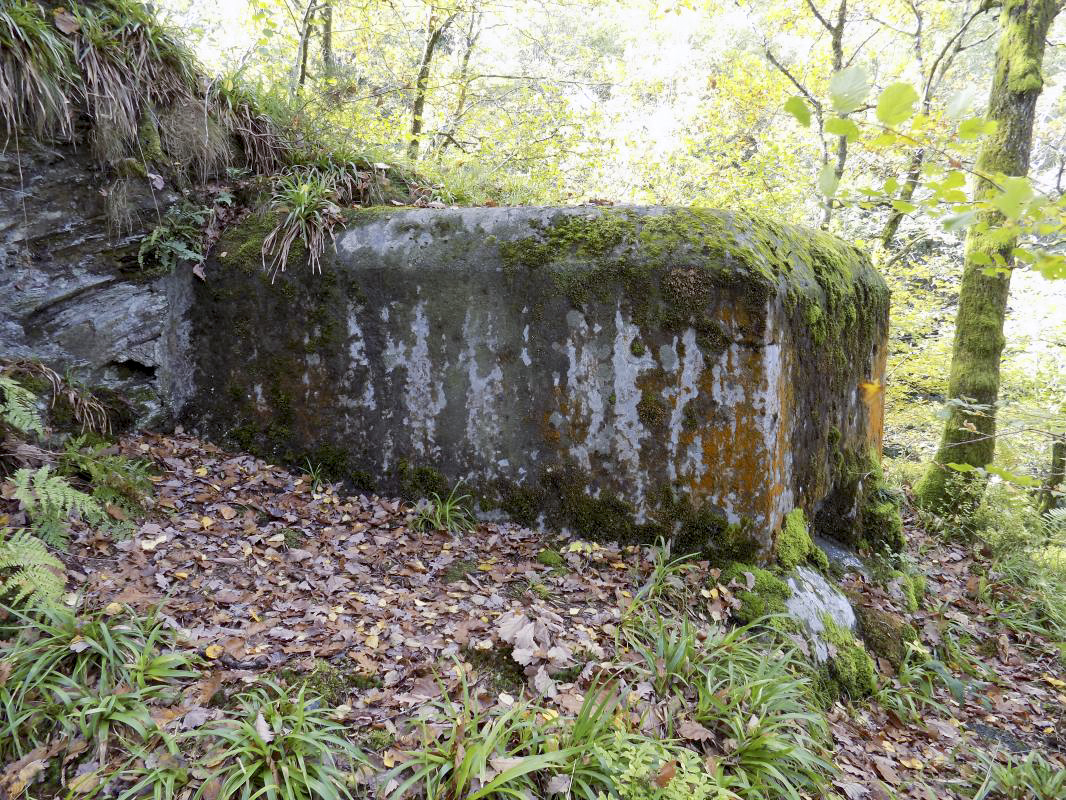 Ligne Maginot - Blockhaus Bb39-C - La PILLE - Face droite - R Tucker