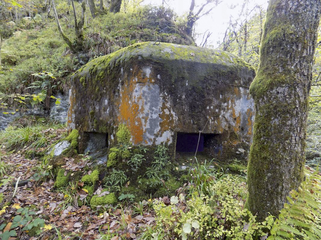 Ligne Maginot - Blockhaus Bb39-C - La PILLE - Les faces frontale - R Tucker